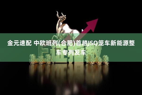 金元速配 中欧班列(合肥)首趟JSQ笼车新能源整车专列发车