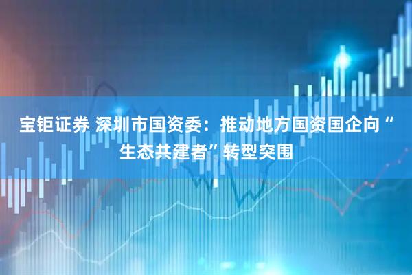 宝钜证券 深圳市国资委：推动地方国资国企向“生态共建者”转型突围