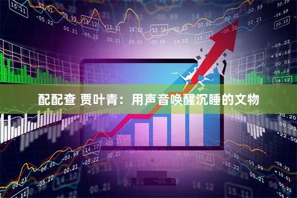 配配查 贾叶青：用声音唤醒沉睡的文物