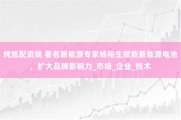纯旭配资端 著名新能源专家杨裕生赋能新能源电池，扩大品牌影响力_市场_企业_技术